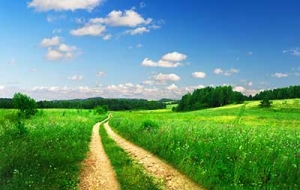 ayuda-psicoterapia-pareja-madrid-terapias